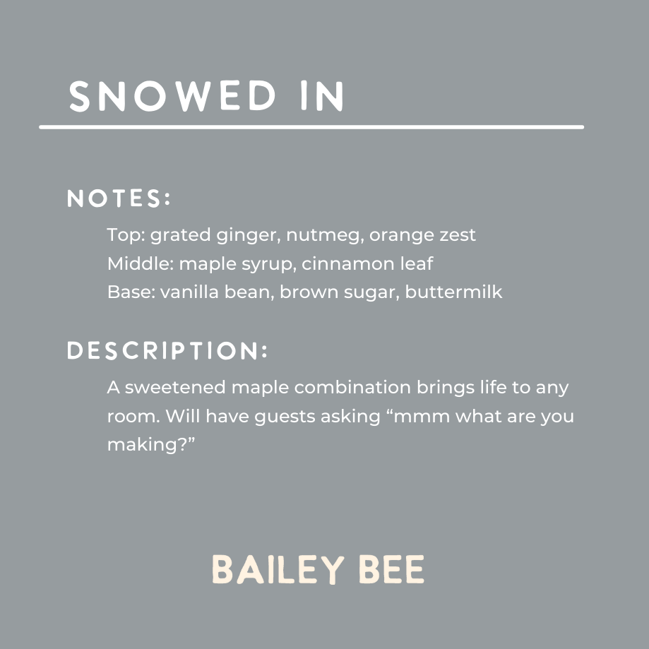 Snowed In Wax Melts (Winter Collection)