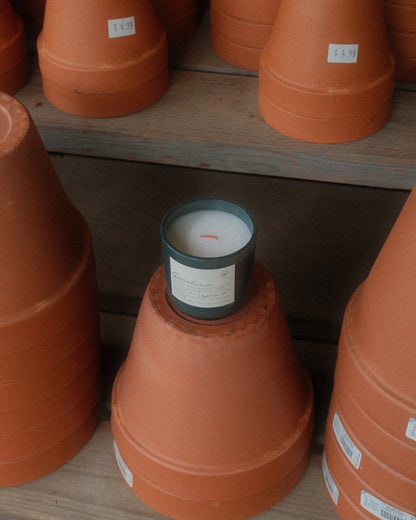 Greenhouse Candle