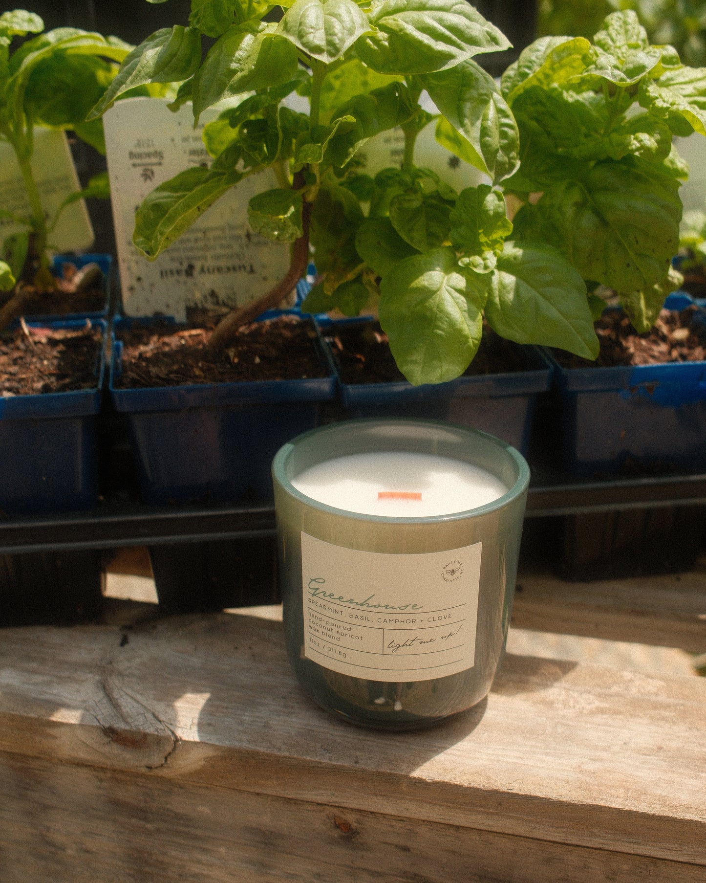 Greenhouse Candle