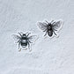 honeybee and bumblebee sticker side-by-side