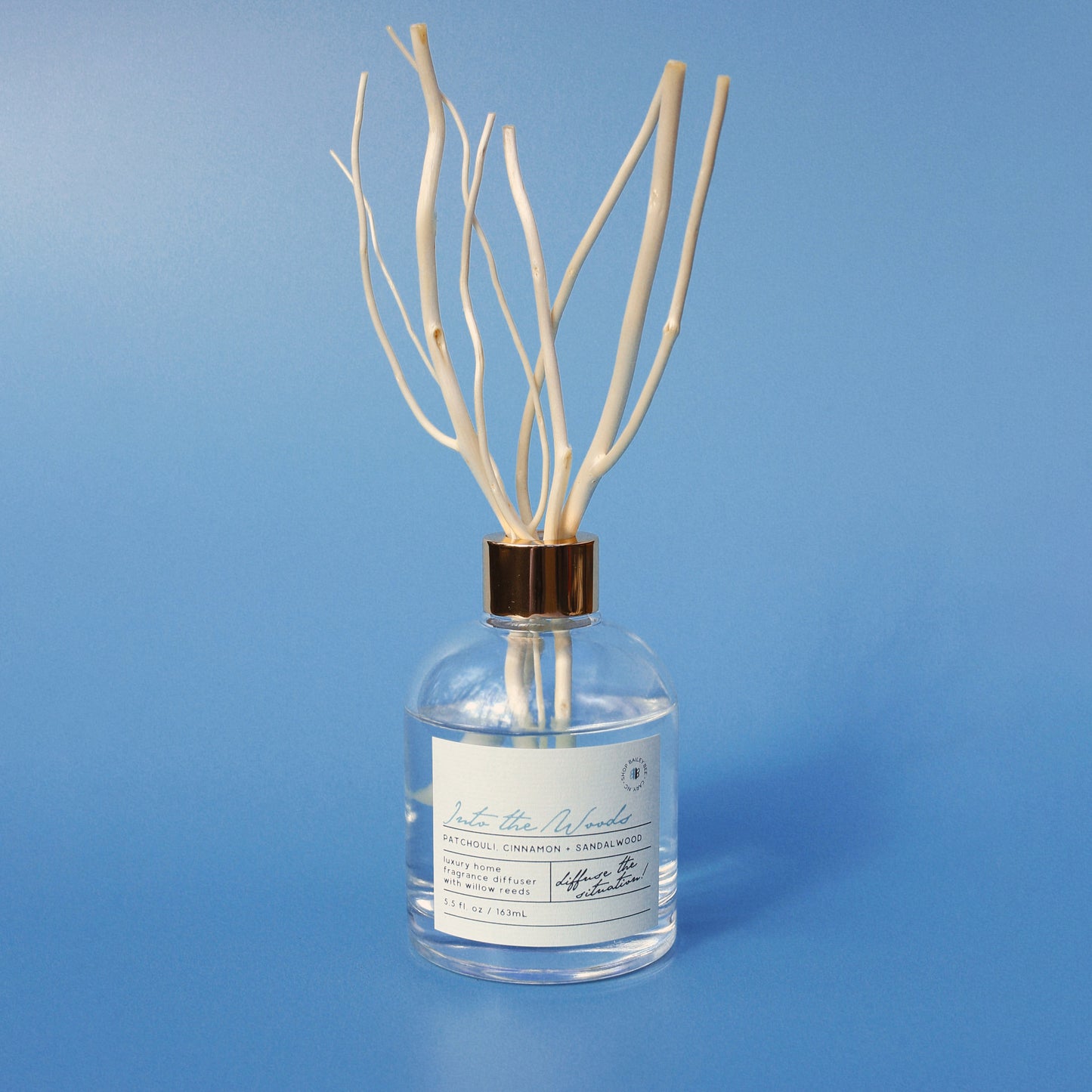 Reed Diffusers  a passive, flameless scent experience – Shop Bailey Bee
